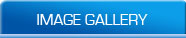 Image Gallery